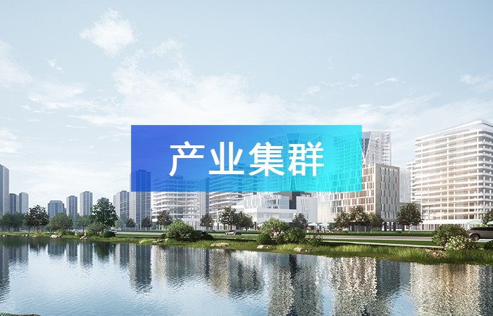 善用產業鏈招商，推動產業集聚，打造產業集群發展！